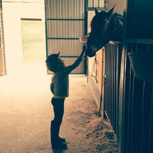 Niña acariciando caballo en el establo